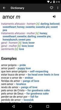 葡萄牙语英语词典截图
