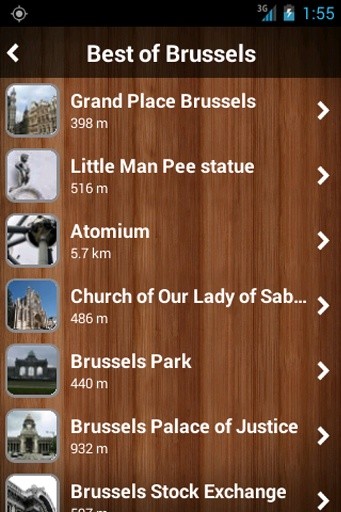 Brussels Travel Guide &amp; Map截图7