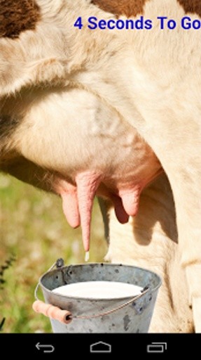 Milk Cow Game截图1