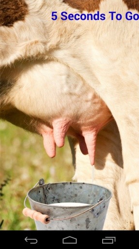 Milk Cow Game截图4