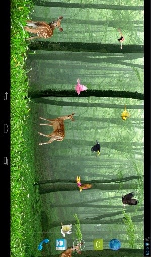 Rain Forest Live Wallpaper截图8