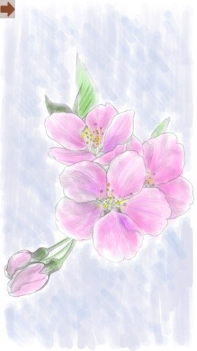 Coloring adult (flower)截图5