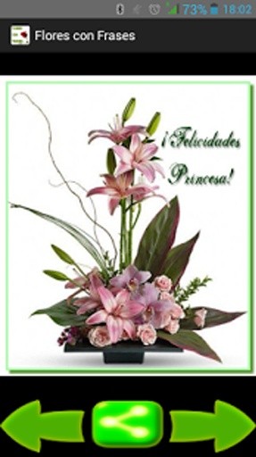 Flores con Frases截图5