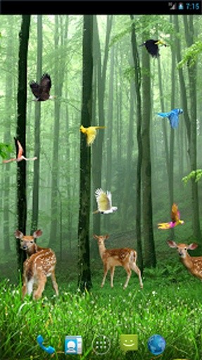 Rain Forest Live Wallpaper截图3