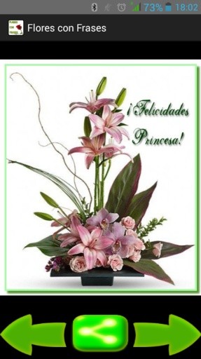 Flores con Frases截图1