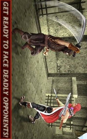 Ninja Warrior Assassin 3D截图10