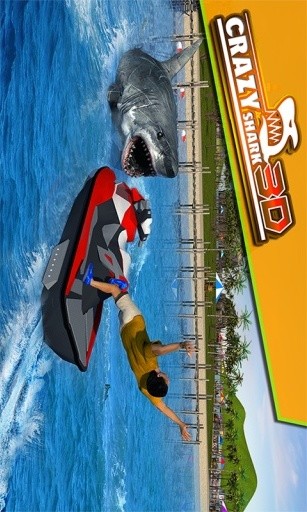 Crazy Shark 3D Sim截图1