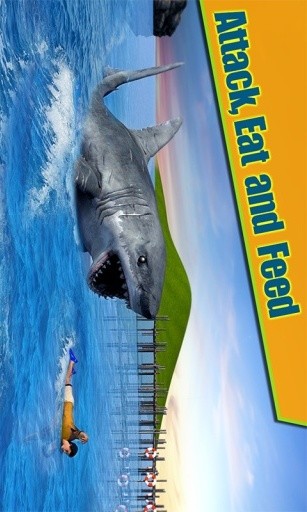 Crazy Shark 3D Sim截图2