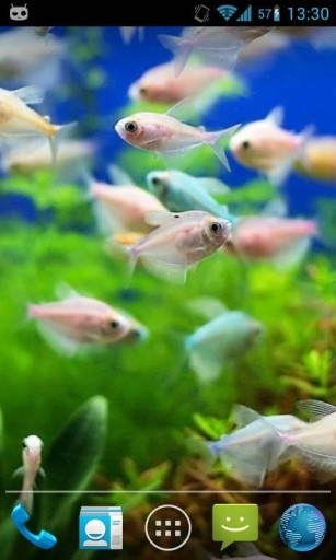 Magic Wave Fish Aquarium截图2