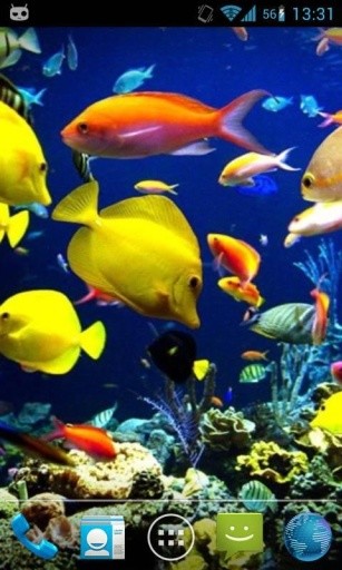 Magic Wave Fish Aquarium截图4