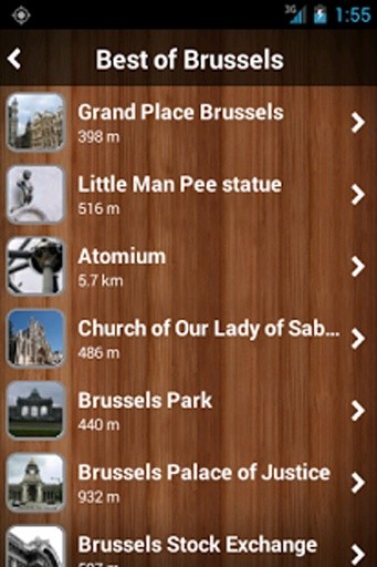Brussels Travel Guide &amp; Map截图3
