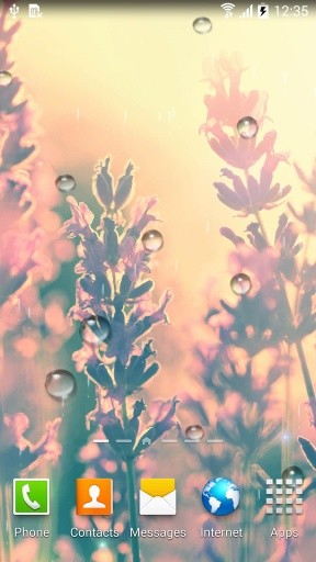 Autumn Flowers Live Wallpaper截图3