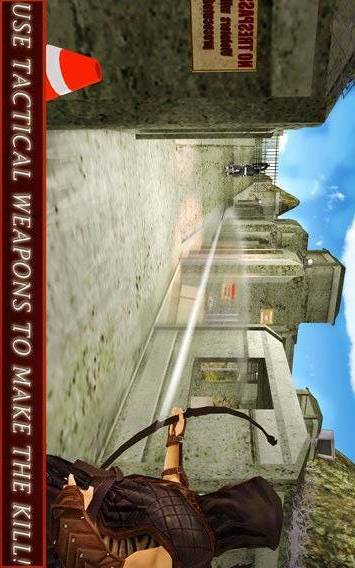 Ninja Warrior Assassin 3D截图9