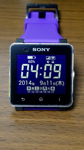 SW2idget for SmartWatch2截图1