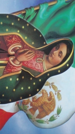 Milagrosa Virgen de Guadalupe截图1