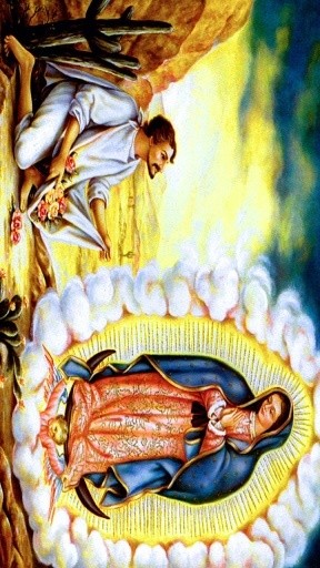 Milagrosa Virgen de Guadalupe截图2