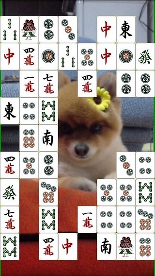Mahjong Connect截图5