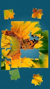 Butterfly Jigsaw Puzzle截图