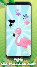 Flamingo Merge - Evolution And Fun Clicker Kawaii截图1