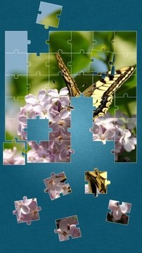 Butterfly Jigsaw Puzzle截图