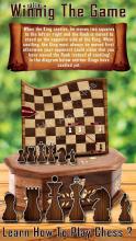 Chess  Learn How To Play截图1