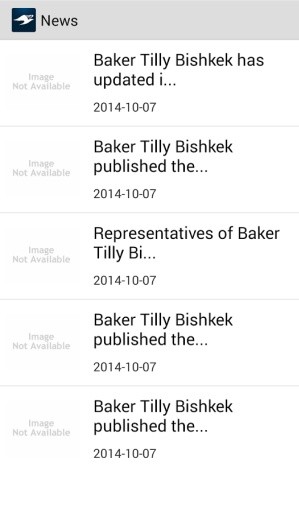 Baker Tilly Bishkek Advi...截图4