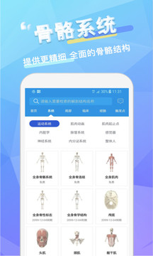维萨里3D解剖截图