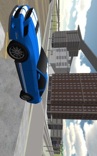 Race Car Driving 3D截图4