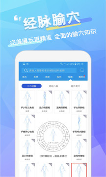 维萨里3D解剖截图
