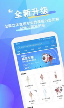 维萨里3D解剖截图