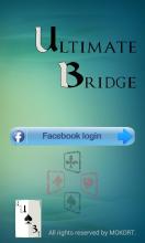 Ultimate Bridge截图5