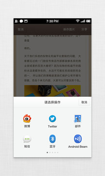 錘子便簽截圖