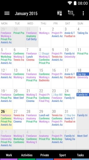Business Calendar截图3