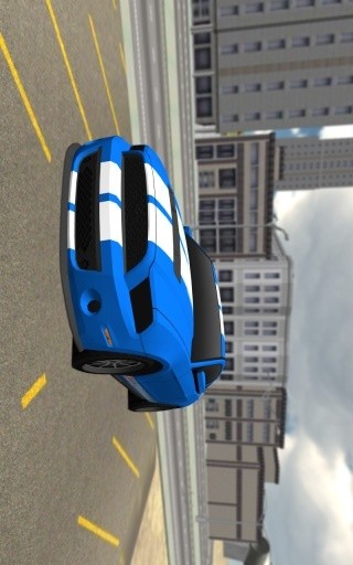 Race Car Driving 3D截图6