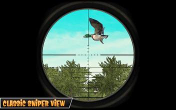 Duck Hunting Simulator 2019  Duck Shooting Games截图5