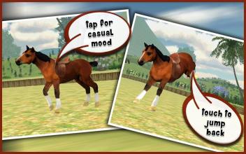 My Dancing Horse 3D截图2