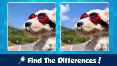 Find the Differences with Friends截图5