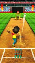 Cricket Game Full Toss截图5