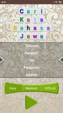 Cari Kata Bahasa Jawa截图4