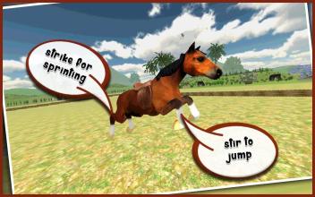 My Dancing Horse 3D截图3