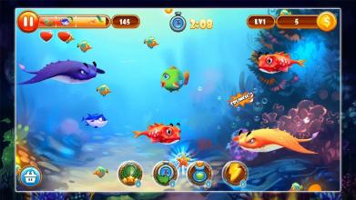 Feeding Frenzy  Fish截图5