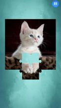 Cut Baby Cats Jgsaw Puzzl Gam截图3