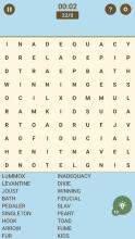 Word Cross Puzzle截图1