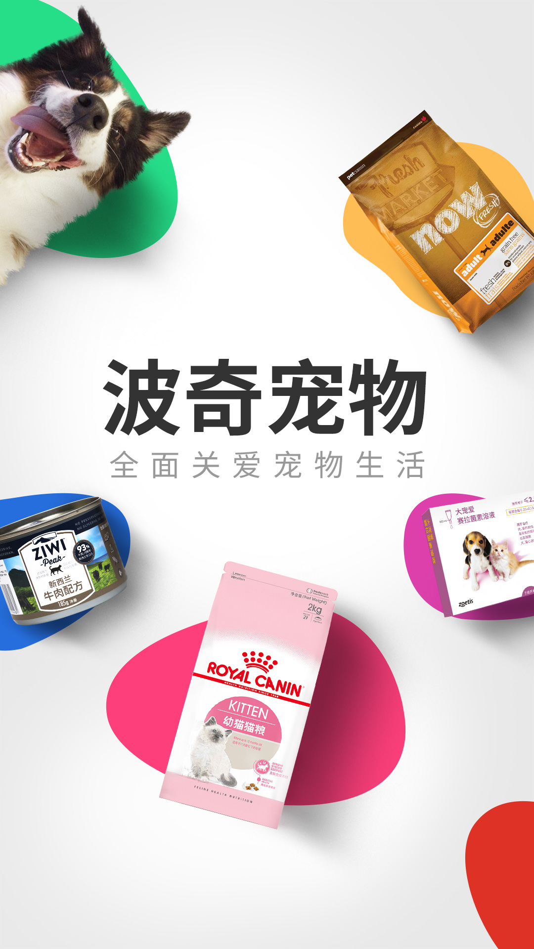 波奇寵物截圖預(yù)覽