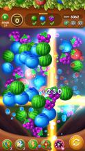 Fruts Crus  Mac3 Puzzl截图3