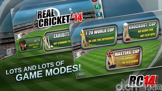 真实板球2014 Real Cricket 14截图3