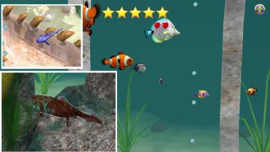 Fish farm of fantastic fish  farm simulator 3D截图5