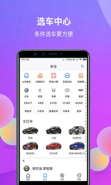 網(wǎng)上車市截圖