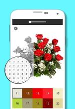 Flower Art Coloring By Number - Pixel截图3