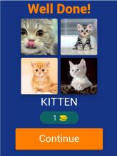 4 Pics 1 Word Pro截图5